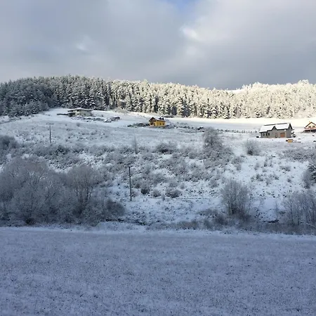 Slnecny Dvor Bukovinka * Dravce