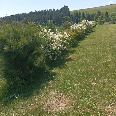 Slnecny Dvor Bukovinka Dom wakacyjny *