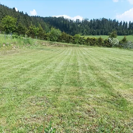 Slnecny Dvor Bukovinka *